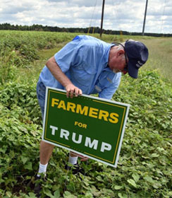 Farmer putting "Farmers for Trump" sign in the ground