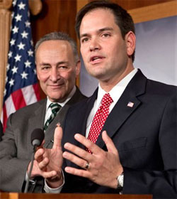 Chuck Schumer and Marco Rubio
