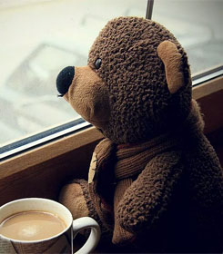 Sad teddy bear looking out window