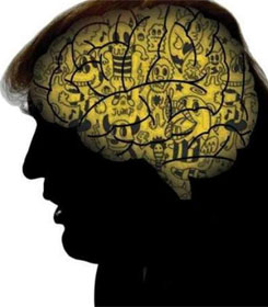 Trump's brain
