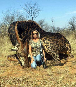 Woman posing with giraffe she shot dead in Africa