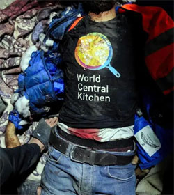 World Central Kitchen aid worker slain by IDF