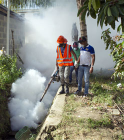 Zika fumigation