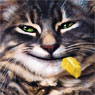 Cat who ate the canary