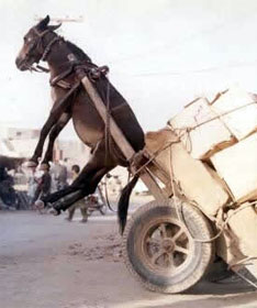 Democrats may want to lighten the load and pass legislation with simple majorities, as Pres. Bush did with tax cuts