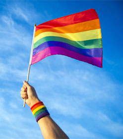 Gay flag