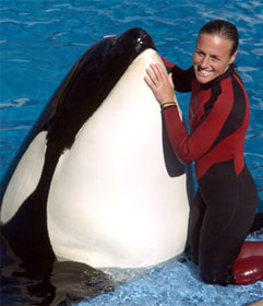 Killer whale