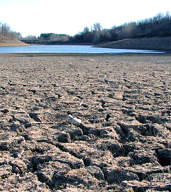 Low reservoir