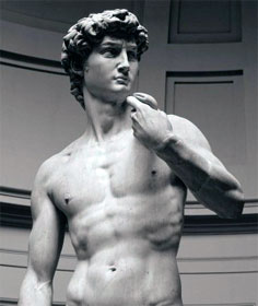 Michelangelo's David