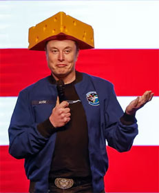 Elon Musk in a Wisconsin cheese hat