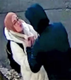 The arrest of Rumeysa Ozturk