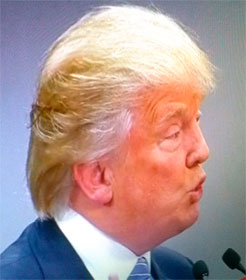 Donald Trump at Mexico City press conference, August 31, 2016
