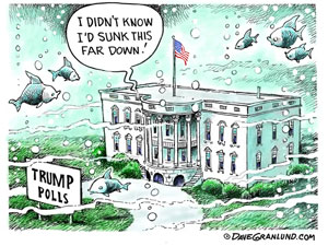 Trump polls in Newsmaker Limericks